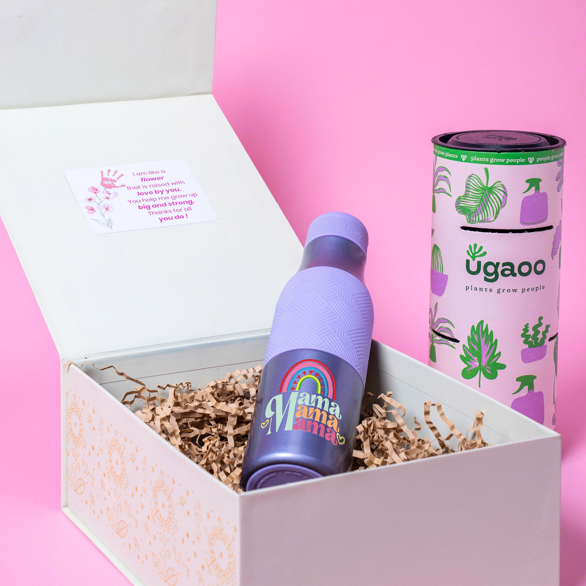 Bloom & Sip Hamper