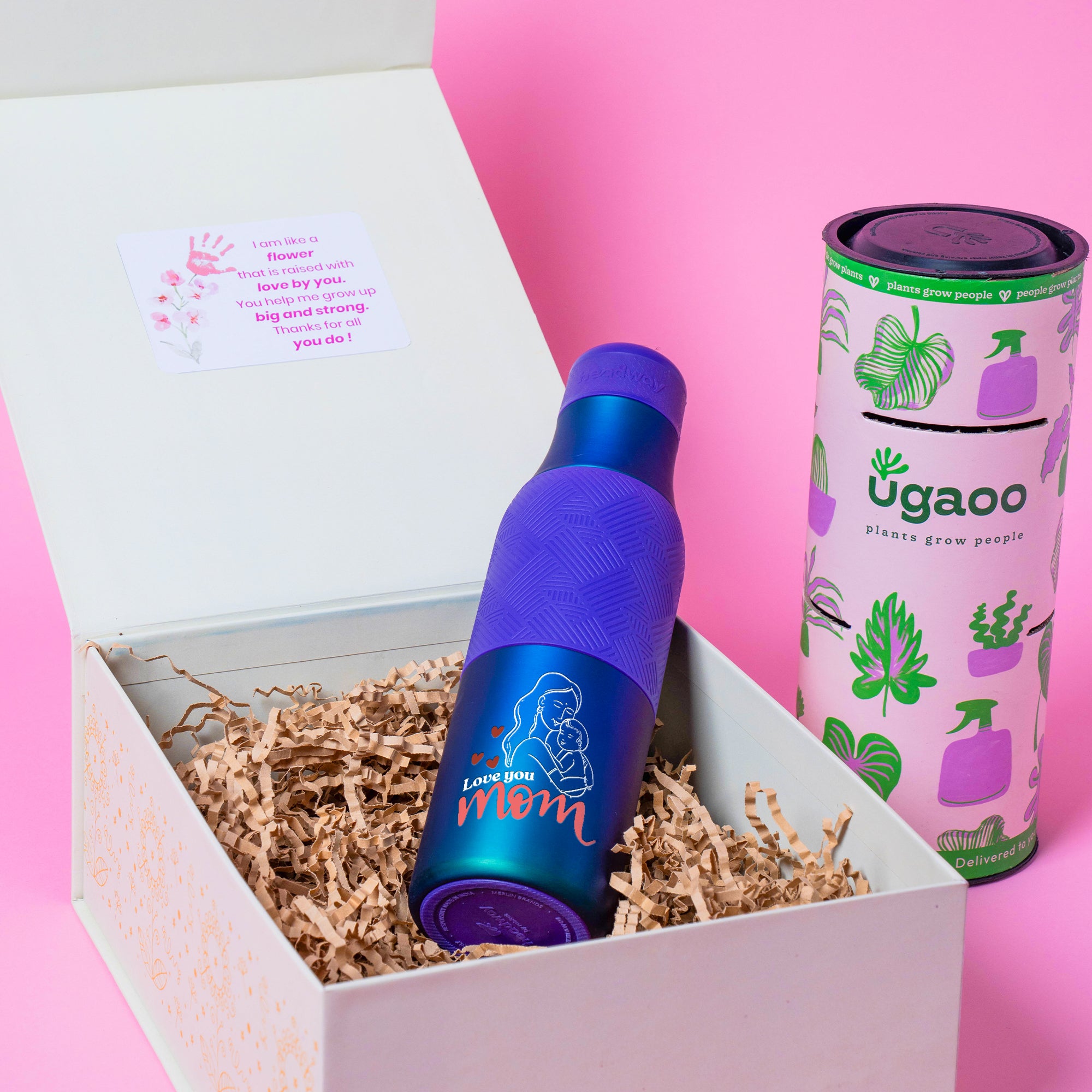 Bloom & Sip Hamper