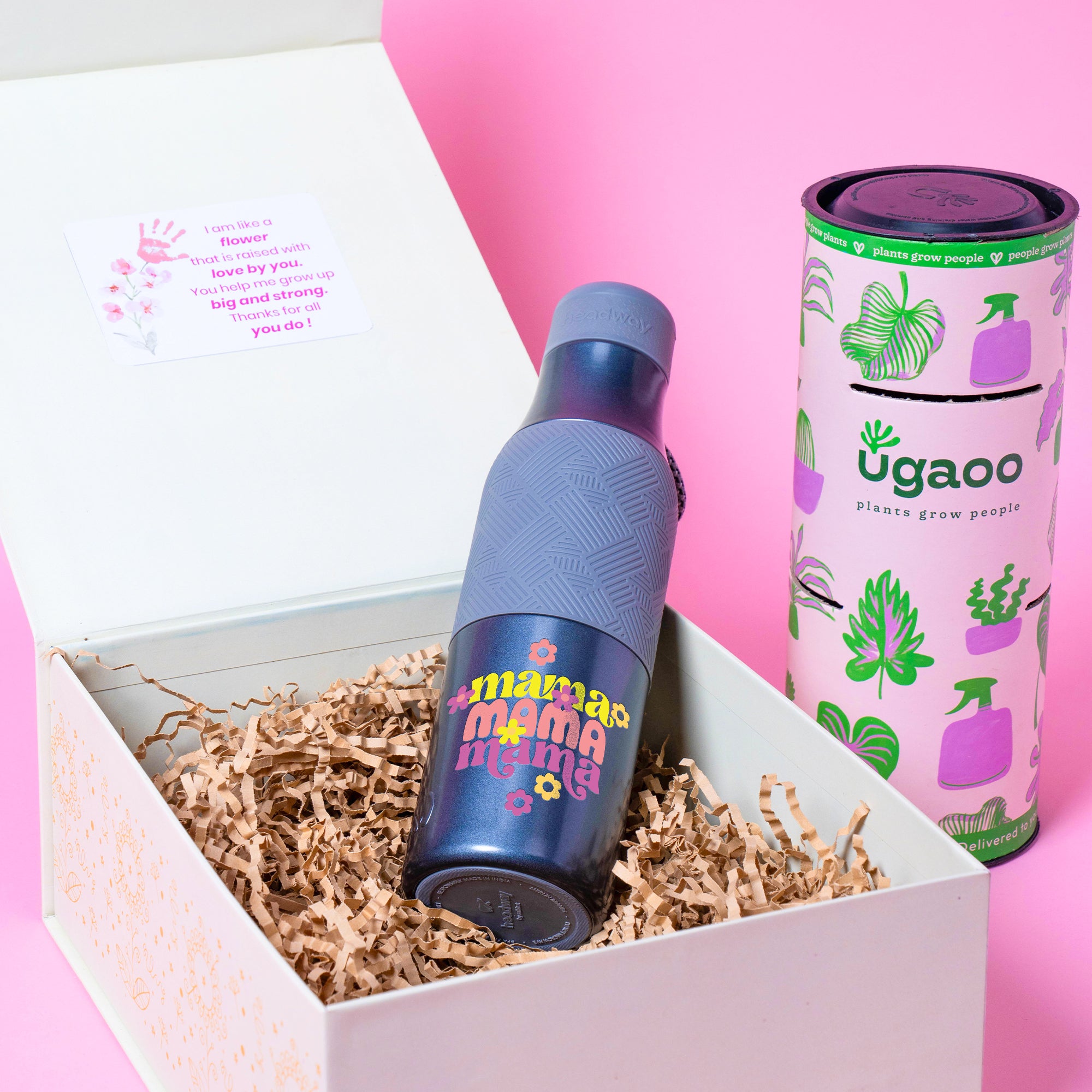 Bloom & Sip Hamper