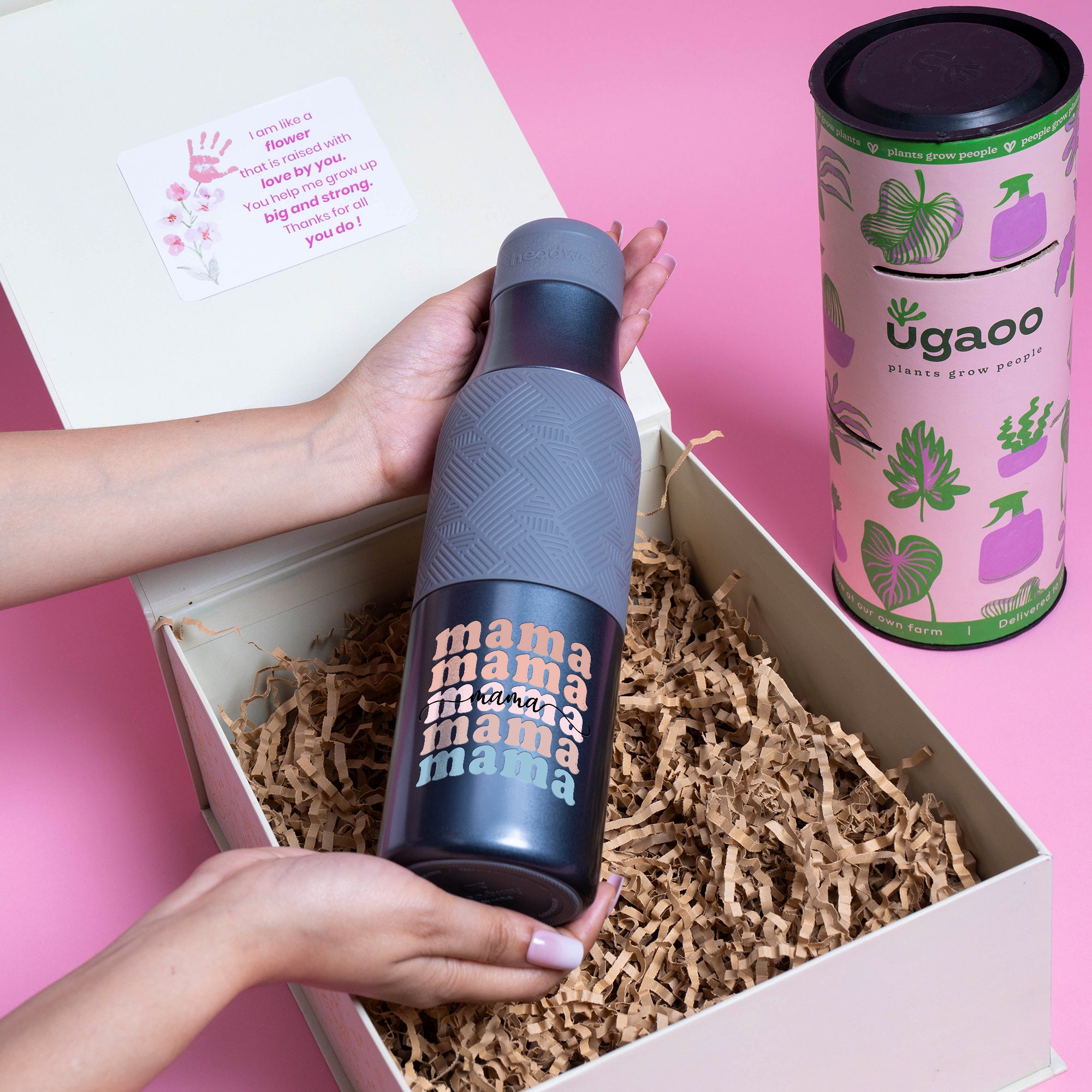 Bloom & Sip Hamper